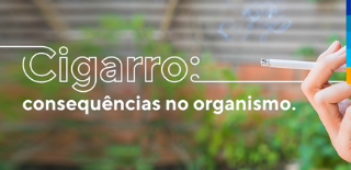 Imagem com fundo verde, com textura de plantas, à frente texto: cigarro: consequências no organismo. Ao lado, dedos da mão segurando um cigarro.