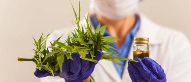 Médico segurando na mão esquerda uma planta e na mão direita, um vidro com liquido amarelo. O objetivo é mostrar que a fitoterapia ajuda a melhorar a imunidade.  