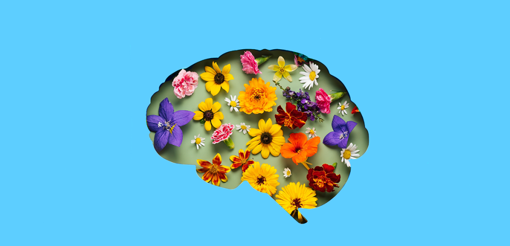 imagem de um cérebro cheio de flores dentro, simbolizando a importância do sono para a memória.