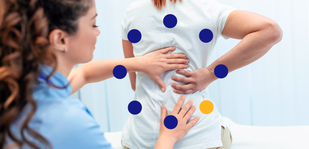 Imagem de médica e paciente, realizando exame, simbolizando Mulher e a osteoporose.