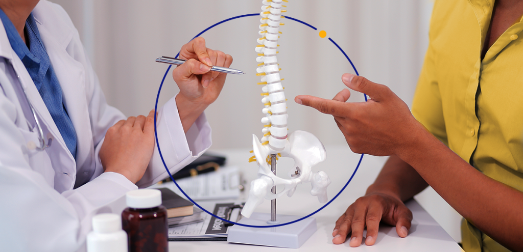 Imagem que mostra duas pessoas estudando a medula espinhal que representa: Osteoporose: como prevenir e cuidar da saúde óssea. 